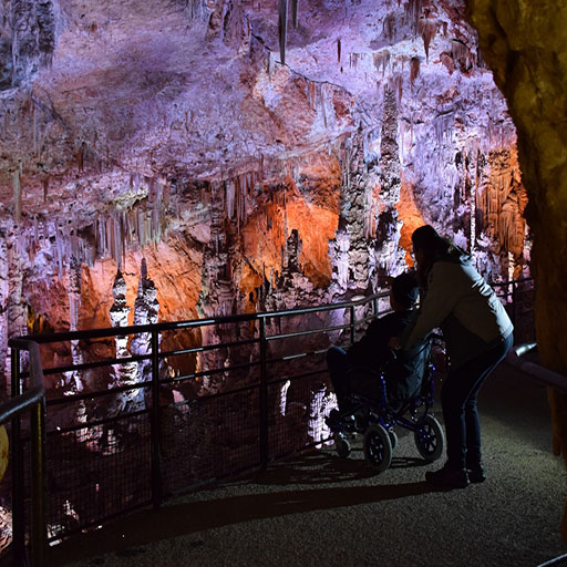 Accessibilité universelle