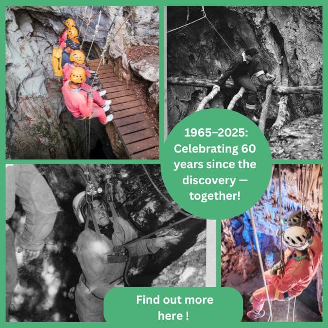 1965–2025: Celebrating 60 years since the discovery — together!
