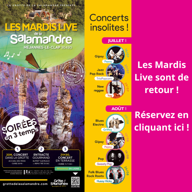 Affiche concert des mardis lives
